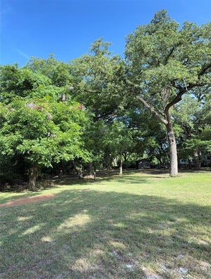 313 N CAGE ST, HAMILTON, TX 76531 - Image 9f1893ec05f71d219dbd2c1d2c7d84bb/4093657389