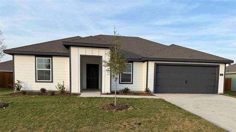 Photo of 308 American Elm Drive, Josephine, TX 75189 (MLS # 21094277)