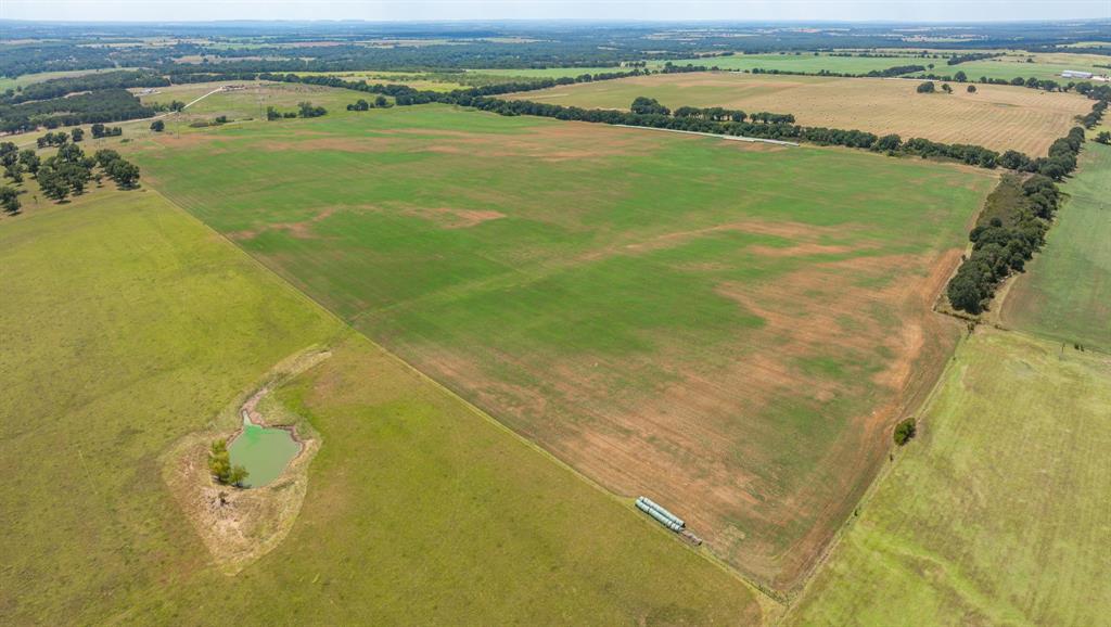 A00483 H. & T.C. R.R. CO. (1 SEC 21), ACRES 39.173 - Farm