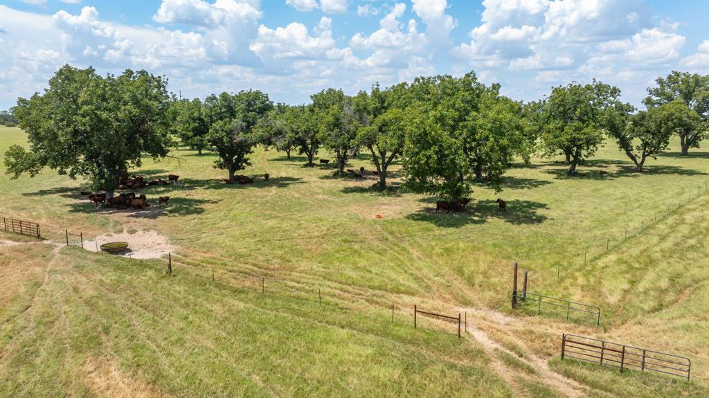 A00483 H. & T.C. R.R. CO. (1 SEC 21), ACRES 39.173 - Farm