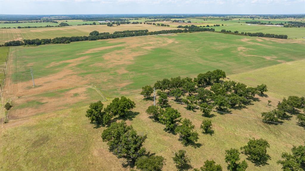 A00483 H. & T.C. R.R. CO. (1 SEC 21), ACRES 39.173 - Farm