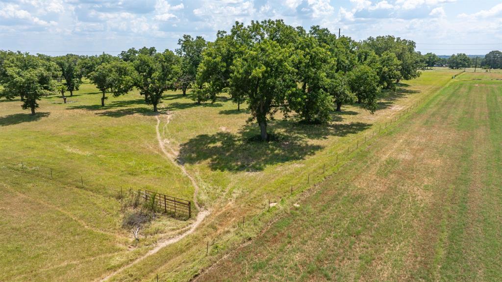 A00483 H. & T.C. R.R. CO. (1 SEC 21), ACRES 39.173 - Farm