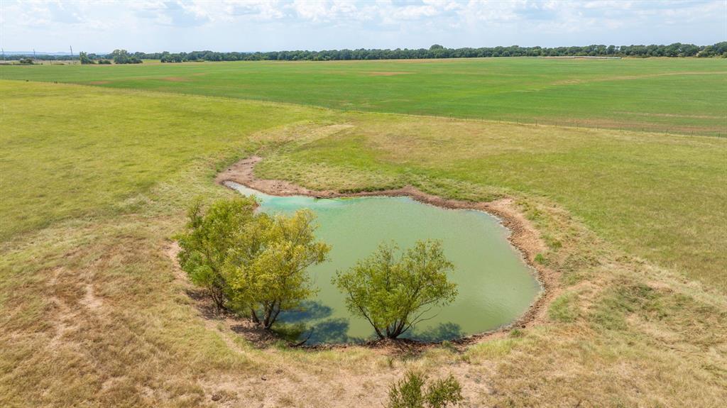 A00483 H. & T.C. R.R. CO. (1 SEC 21), ACRES 39.173 - Farm