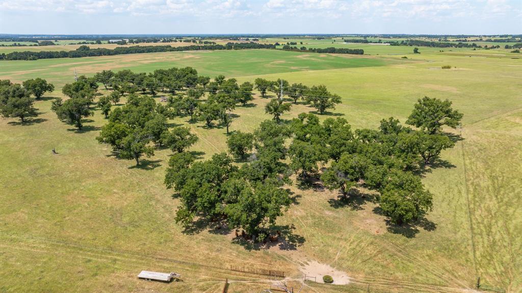 A00483 H. & T.C. R.R. CO. (1 SEC 21), ACRES 39.173 - Farm