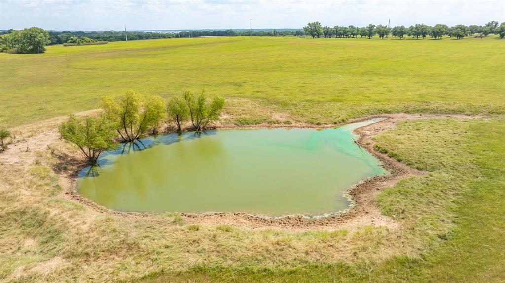 A00483 H. & T.C. R.R. CO. (1 SEC 21), ACRES 39.173 - Farm