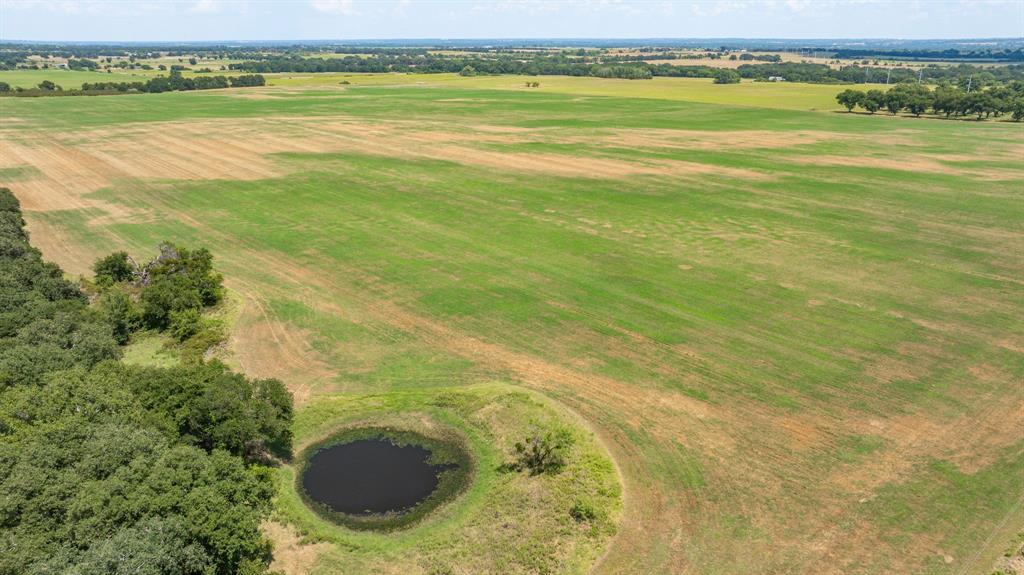 A00483 H. & T.C. R.R. CO. (1 SEC 21), ACRES 39.173 - Farm
