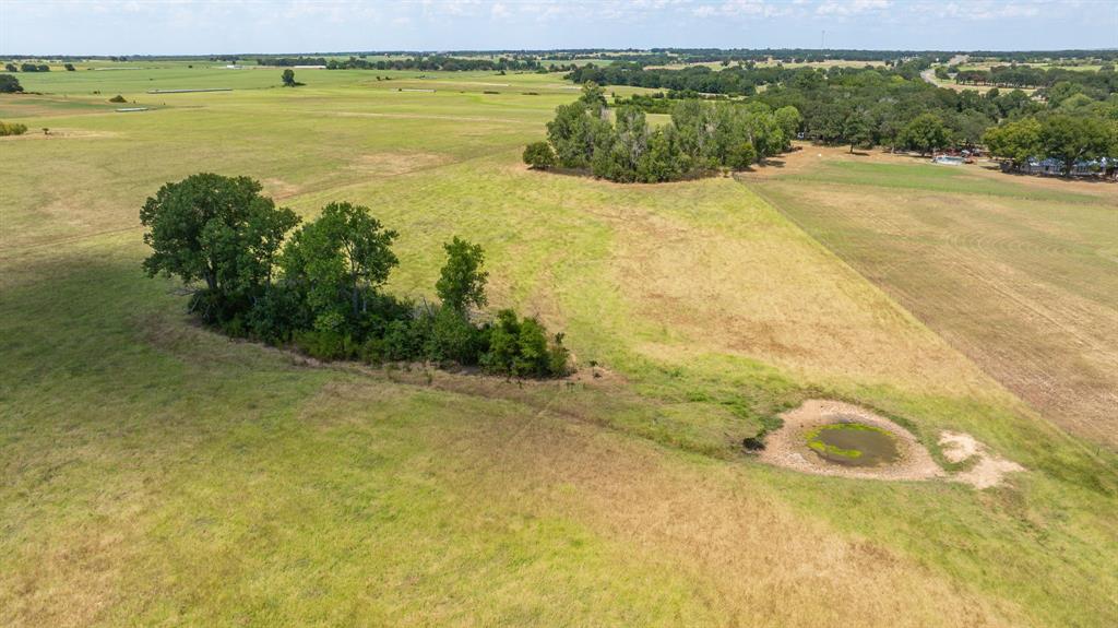 A00483 H. & T.C. R.R. CO. (1 SEC 21), ACRES 39.173 - Farm