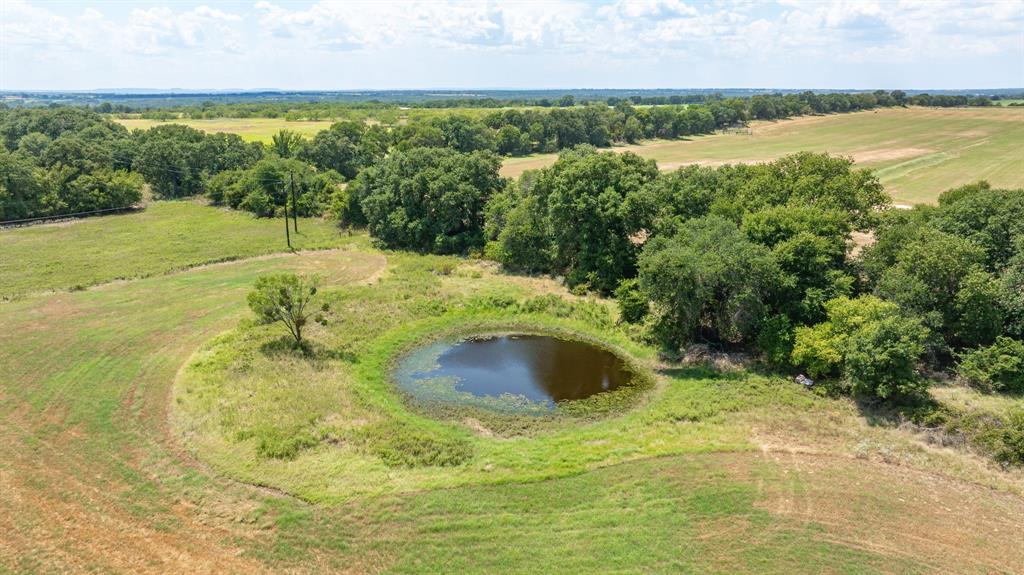 A00483 H. & T.C. R.R. CO. (1 SEC 21), ACRES 39.173 - Farm