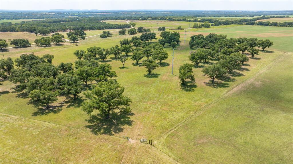 A00483 H. & T.C. R.R. CO. (1 SEC 21), ACRES 39.173 - Farm