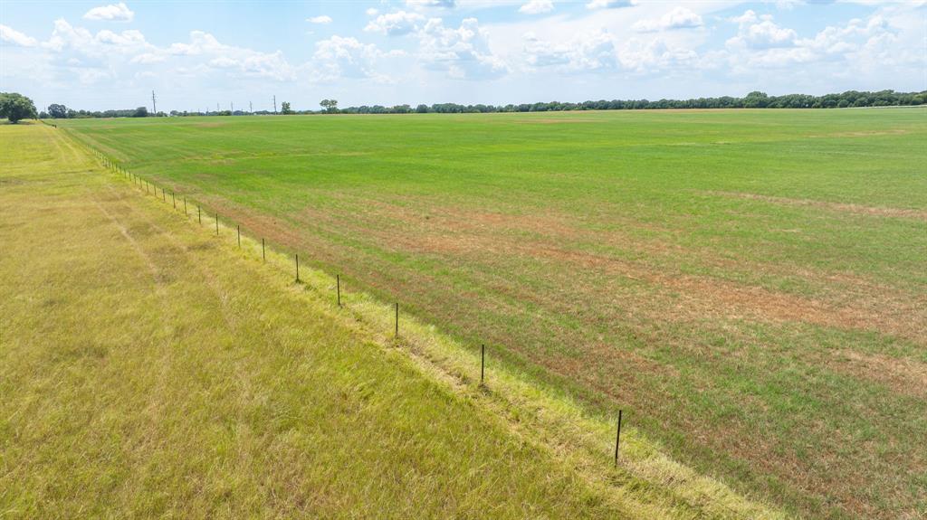 A00483 H. & T.C. R.R. CO. (1 SEC 21), ACRES 39.173 - Farm