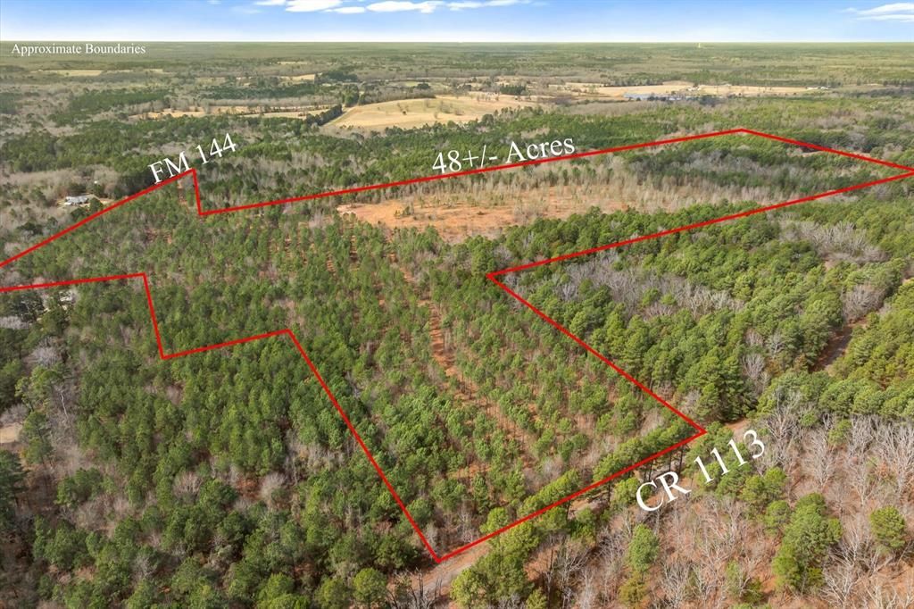 Photo of 00 Fm-144, Daingerfield, TX 75638 (MLS # 21185941)