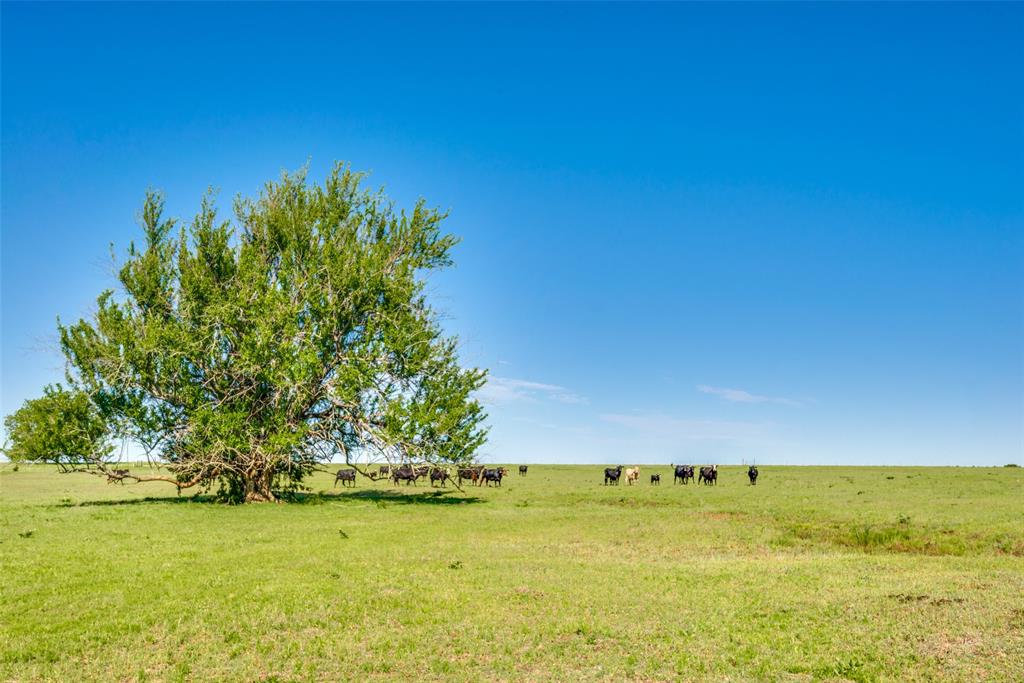 TBD Hwy 377
