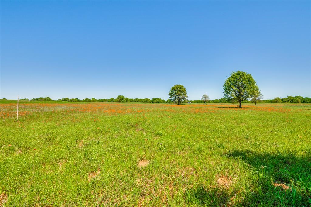 Admiral Shores - Land