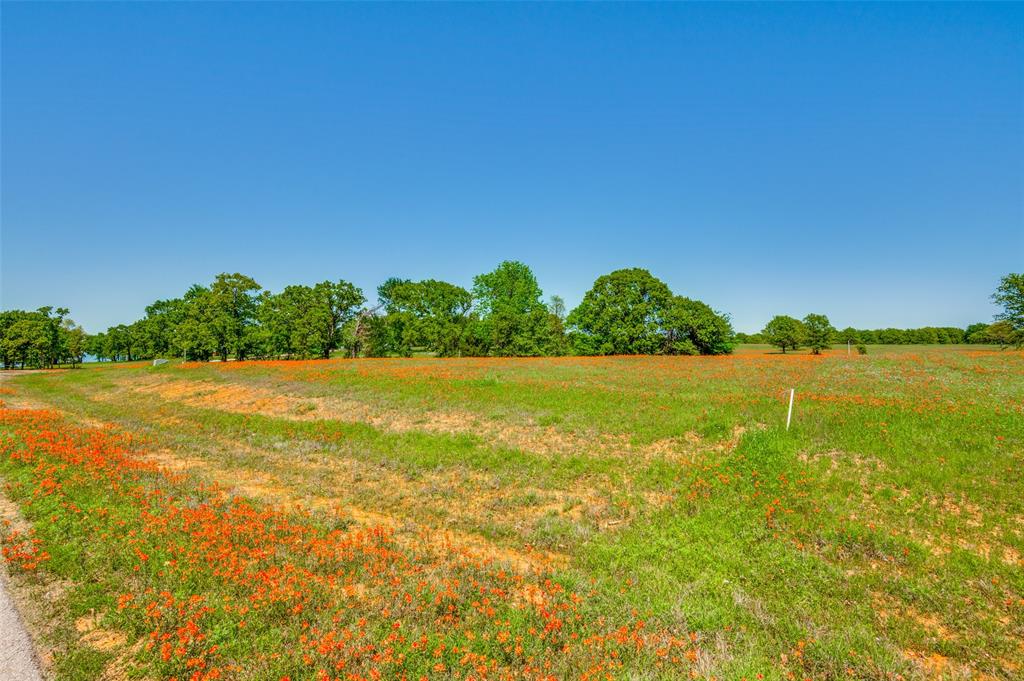 Admiral Shores - Land