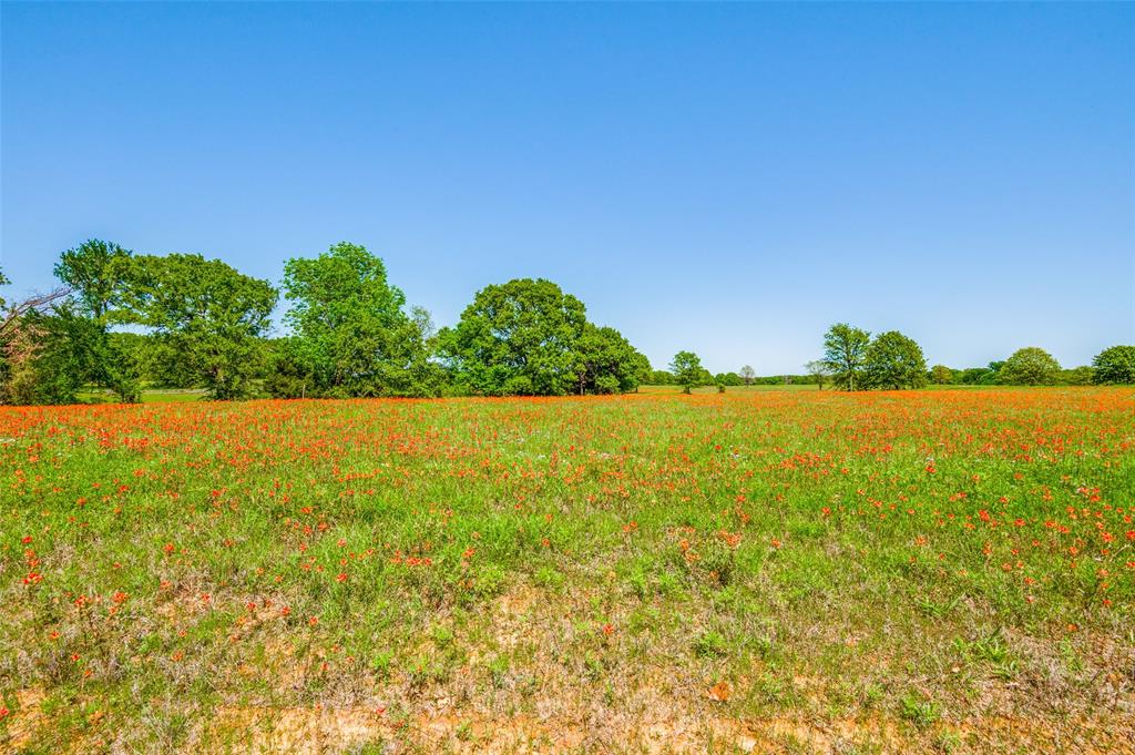 Admiral Shores - Land