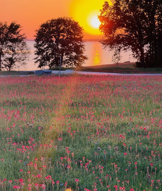 Admiral Shores - Land