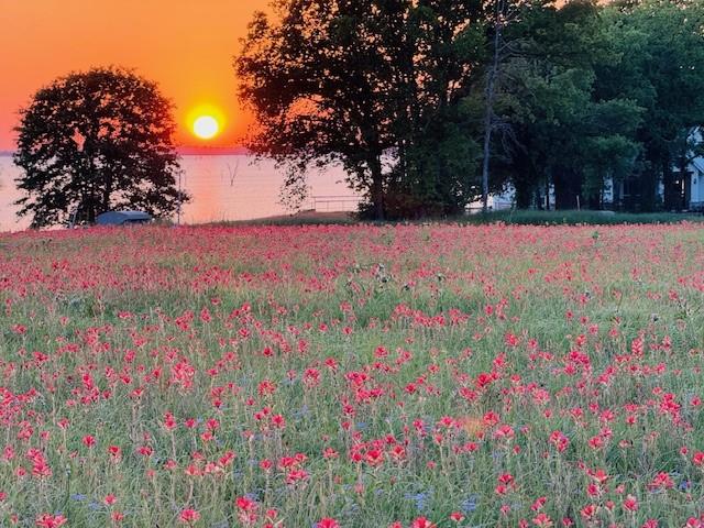 Admiral Shores - Land