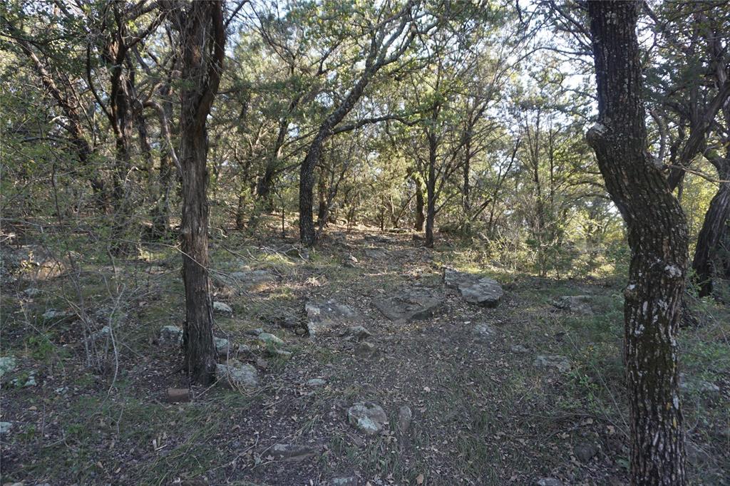 1101 Mountain Bluebird Court