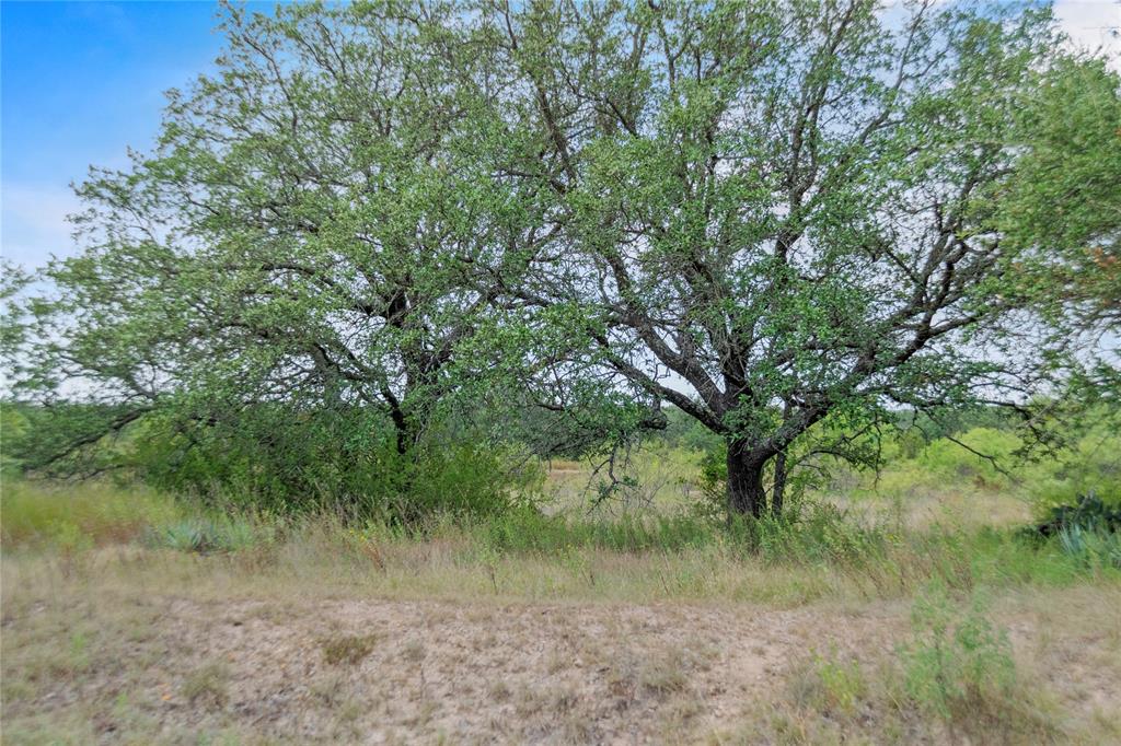 7325 County Road 350