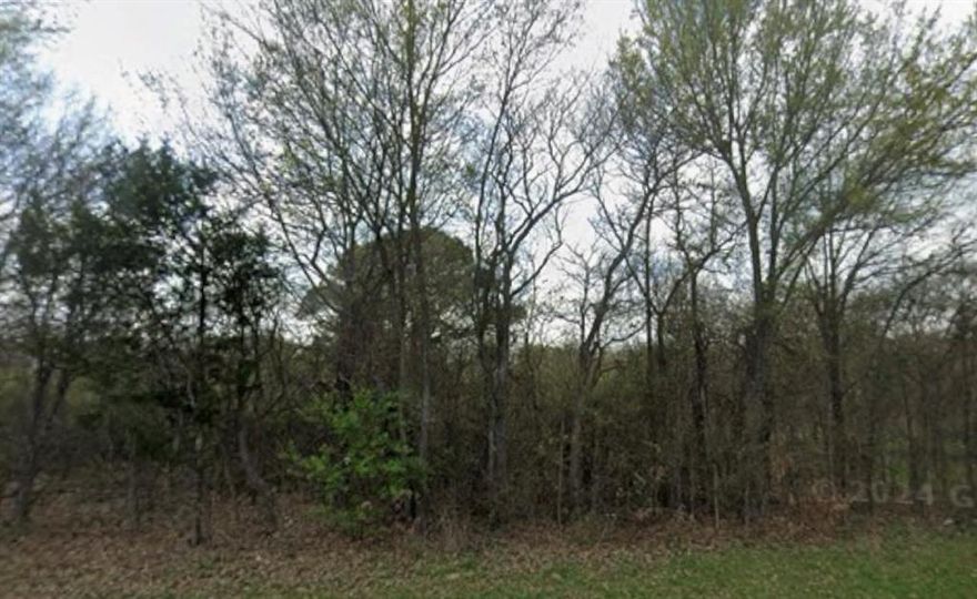 beautiful 7-acre parcel, ideally situated just west of 2140 FM 2946 in Emory. Tucked away in a serene, wooded setting, this unzoned land offers a rare opportunity for flexible development in the heart of Rains County.

Key Highlights:
? Size: 7 acres (approx.)
? Topography: Gently rolling, mature trees, and open clearings — perfect for privacy and shade.
? Zoning: Unrestricted — suitable for residential homesites, an RV park, storage or warehouse facilities, or a mixed-use vision.
? Access: Paved road frontage on FM 2946, just minutes from Emory town center and major routes like TX-276 and US-69.
? Utilities: Buyer to verify, electric available next door at the storage facility, with potential for well or rural water service.
? Setting: Peaceful countryside ambiance with easy access to town amenities, Lake Fork, and Lake Tawakoni.

Whether you envision building your dream home tucked among the trees, launching an income-producing RV park to serve the booming recreational market, or constructing a warehouse or shop for your business — this property offers the freedom to make your plans a reality.
