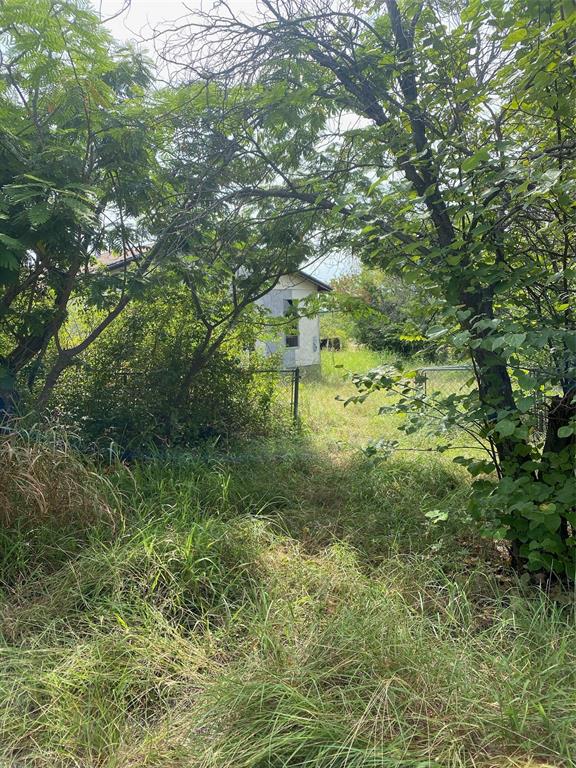 E HAMMACK - ABST 650 - Land