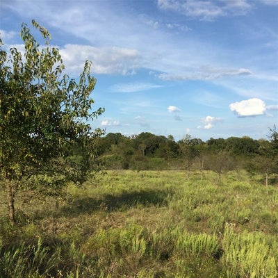 1821 STATE HIGHWAY 309, KERENS, TX 75144 - Image 9fbeca4a791dd35b42fdc280c4e1e064/3989220192