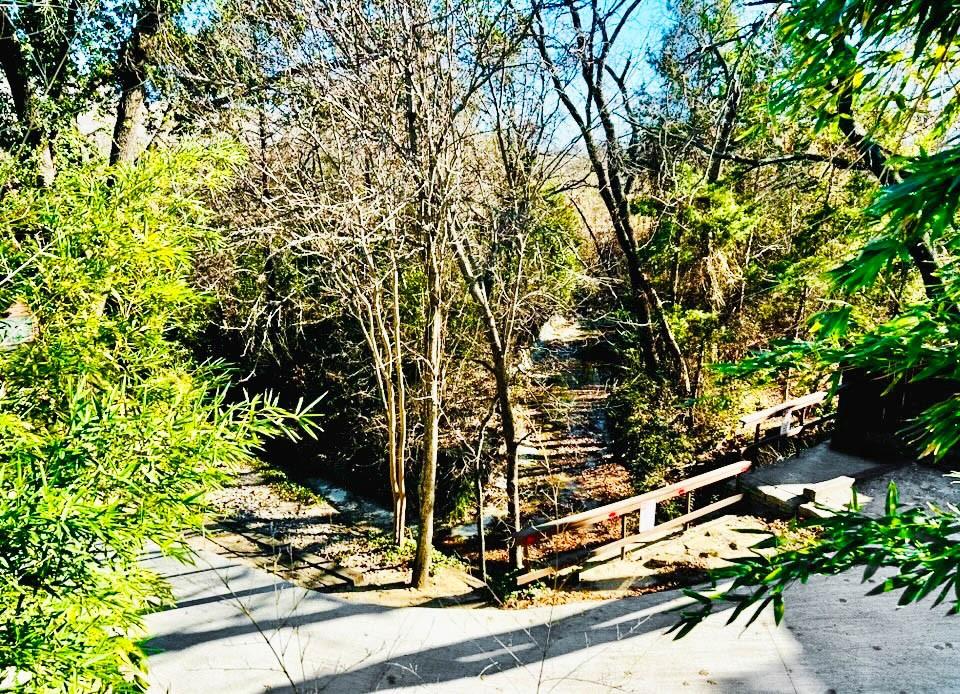 Big Thicket Twnhms - Residential