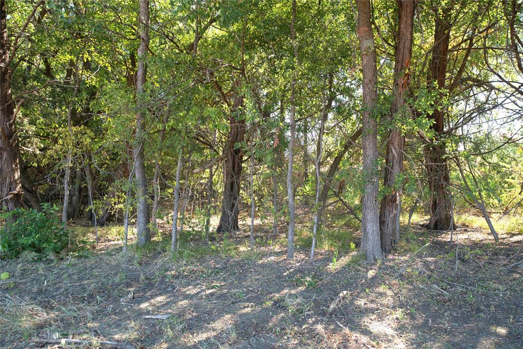 77 County Road 42351