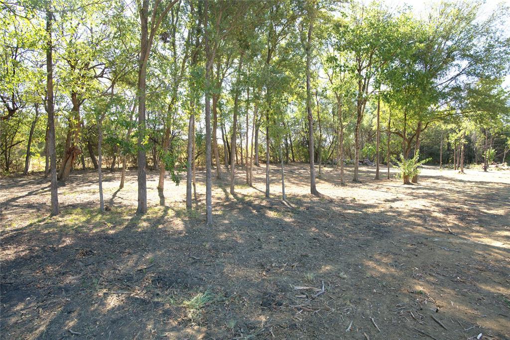 77 County Road 42351