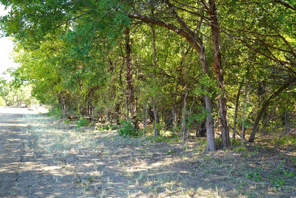 77 County Road 42351
