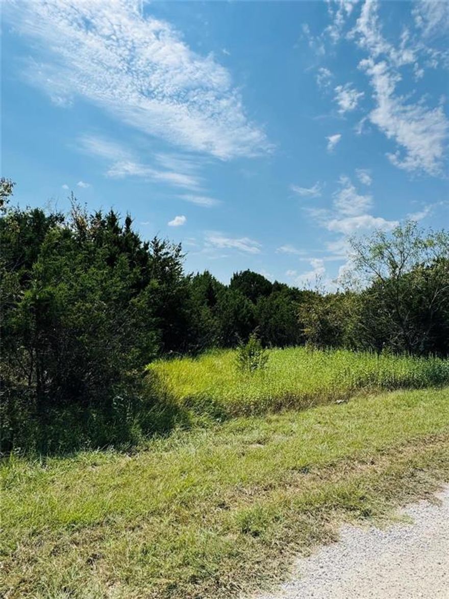 This lot is 1.265 acres is in a secured gated community of White Bluff. The Resort is surrounded by breathtaking Lake Whitney.  It's perfect for building your dream home. Enjoy peace and tranquility in this relaxing resort lifestyle. All amenities transfer with the sale of the property. 36 rounds of golf a year, excluding cart come with the property. Two 18-hole Texas Premier golf courses, four swimming pools, tennis & pickleball courts, playground, marina, two boat ramps, restaurant, spa, fitness center, volunteer fire department, conference center & hotel.