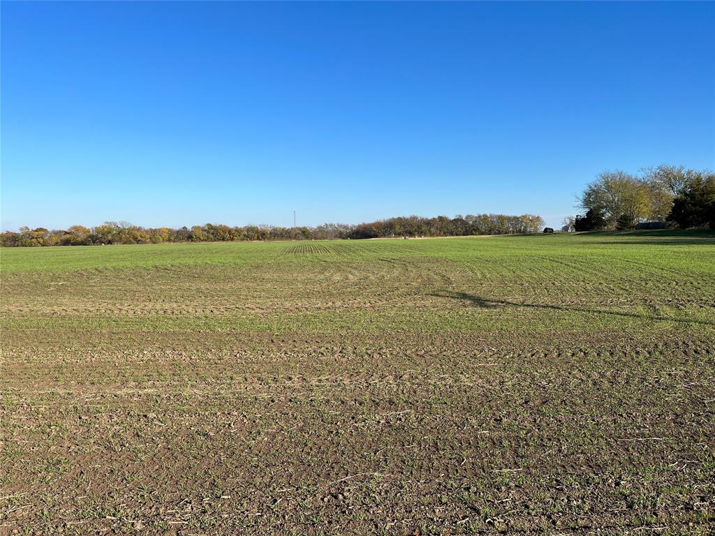 MORGAN GEORGE A-G0773 - Land