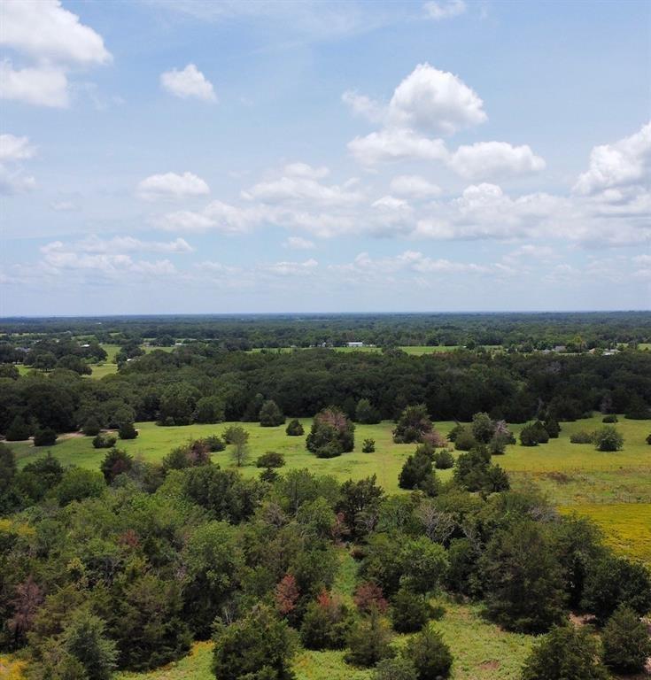 Thomas S Havins Surv Abs #425 - Land