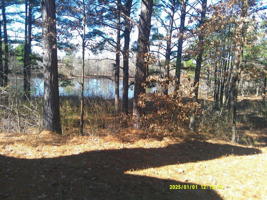 John Bassett - Residential