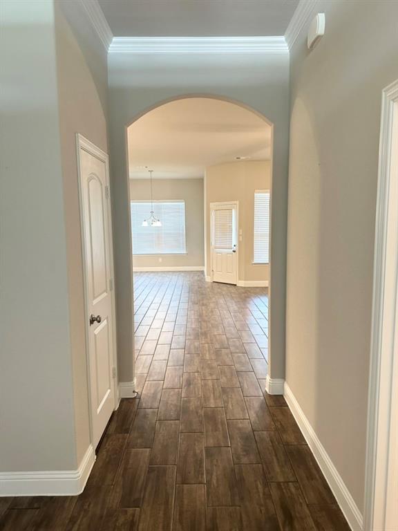 2815 Diamondback Drive