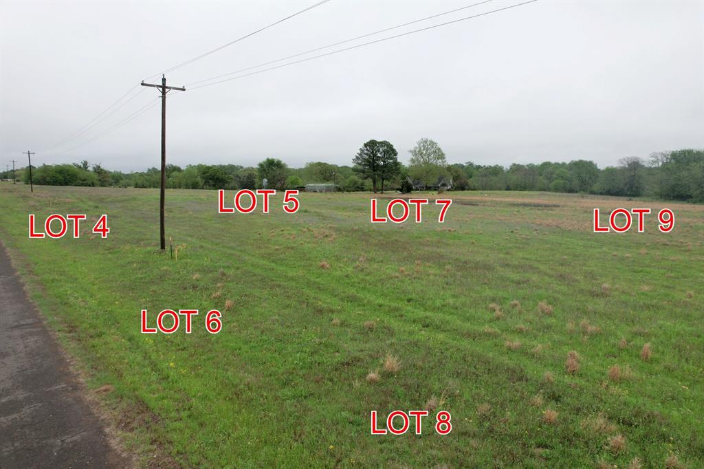 TBD Lot 8 County Road 4287