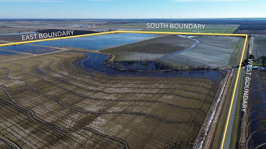 A Rare Turnkey Row-Crop Farm with World-Class Waterfowl Hunting
Roe, Arkansas - 371.45 Total Surveyed Acres

This is an exceptional opportunity to own a highly productive farm in the heart of Arkansas’s legendary waterfowl flyway. The offering consists of two tracts just minutes apart:
Main Tract – 332.9 surveyed acres along the Prairie-Monroe County line, directly bordering the renowned Wingmead (one of the most intensely managed waterfowl properties in the Delta).
East Tract – 38.55 surveyed acres located in Prairie County approximately 3 miles east with an outstanding duck hole and additional deer hunting potential.
Both tracts sit only minutes from the White River National Wildlife Refuge – placing them squarely in one of the top waterfowl corridors in the country.

Key Features & Improvements
371.45 total surveyed acres.
Approximately 365 FSA cropland acres (reconstitute of the Main Tract will be completed before closing).
Proven rice & soybean rotation (occasional corn) with strong historical yields: – Rice: ~190 bu per acre averages – Soybeans: ~60 bu per acre averages.
Precision-leveled fields with excellent soils.
5 irrigation wells & 2 relift pumps.
2 tailwater recovery pits.
Extensive underground poly pipe system.
Multiple water-control structures.

Premier Waterfowl Setup
8 managed duck holes that can be artificially flooded on demand.
2 permanent pit blinds + 4 skid blinds.
Proven history of outstanding duck hunting in one of the most intensely managed areas in the Delta.
The farm is currently leased to an excellent tenant on a favorable 75 25 crop-share basis, providing immediate cash flow and hassle-free management.
Whether you’re looking for a top-tier agricultural investment, a legacy waterfowl property, or the ultimate combination of both, this turnkey operation delivers on every level.

Contact Marc Holmes at (501) 269-6963 or marc@holmes-realestate.com for more information. Private showings by appointment only.
