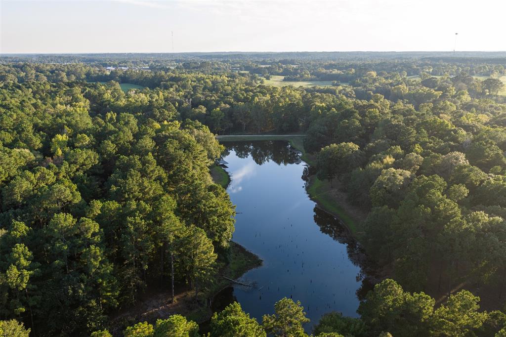 1309 County Road 2619