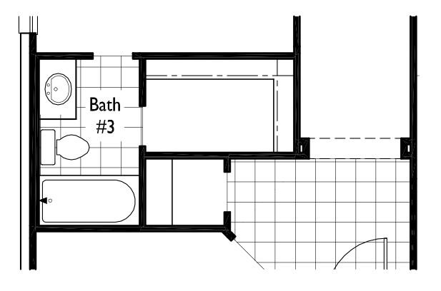 Pecan Square: 50ft. lots - Residential