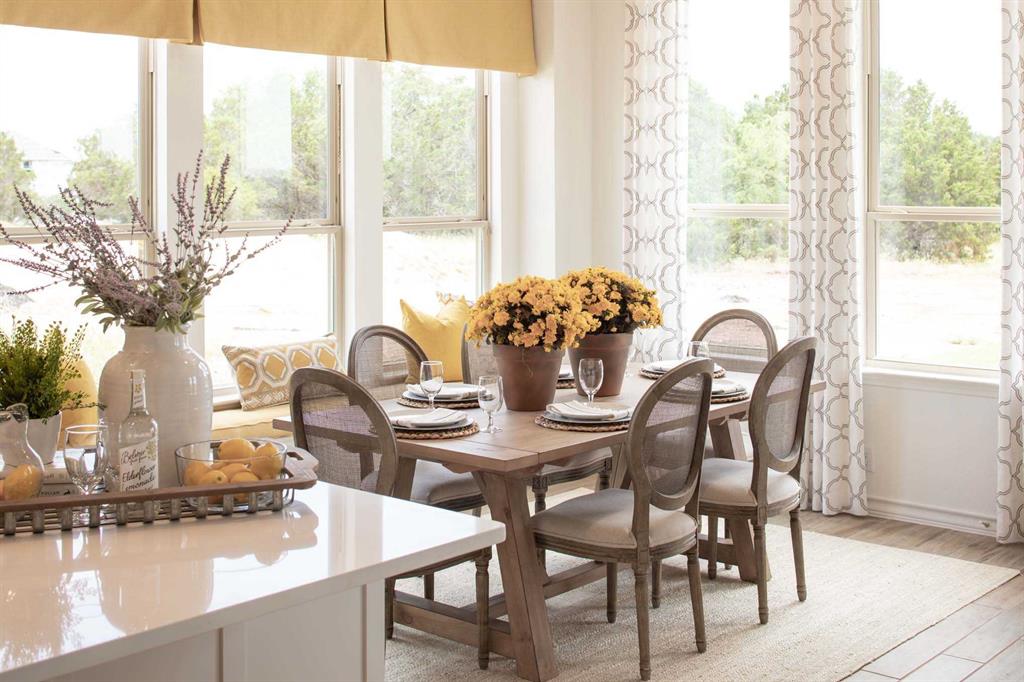 Pecan Square: 50ft. lots - Residential