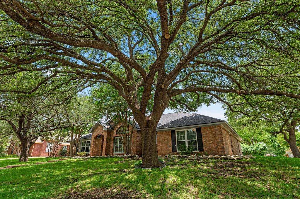 9406 Wildflower Drive