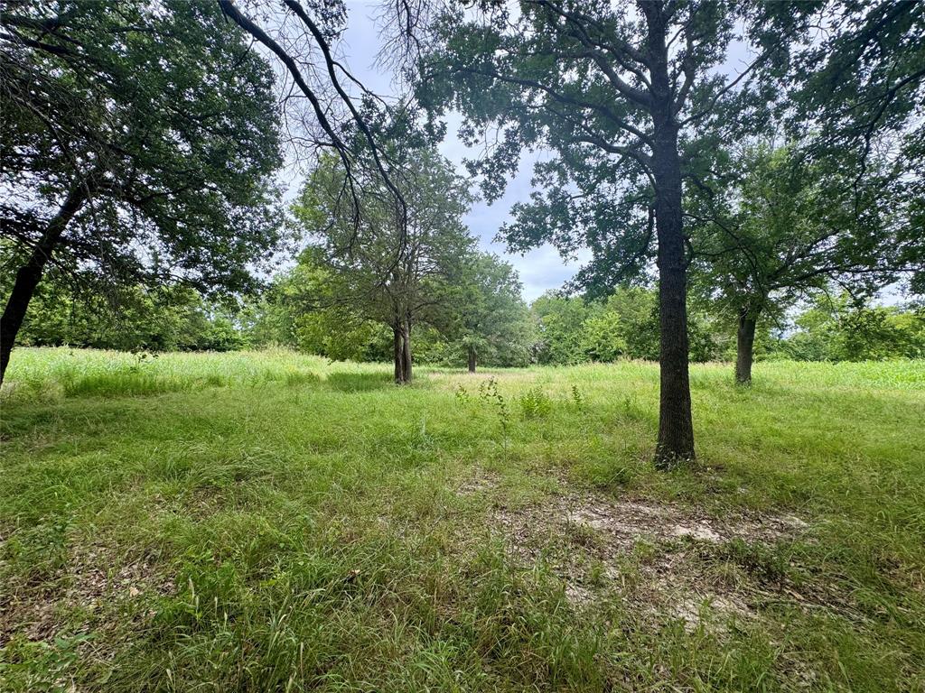 210 Forest Lane
