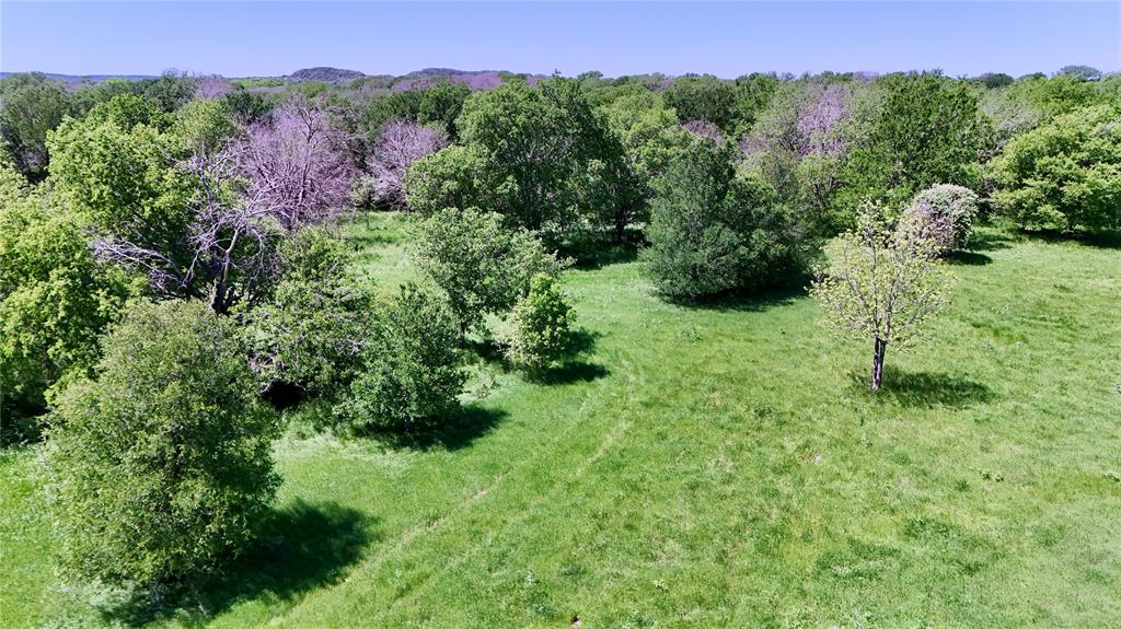 Anson Darniel Surv Abs # 222 - Land