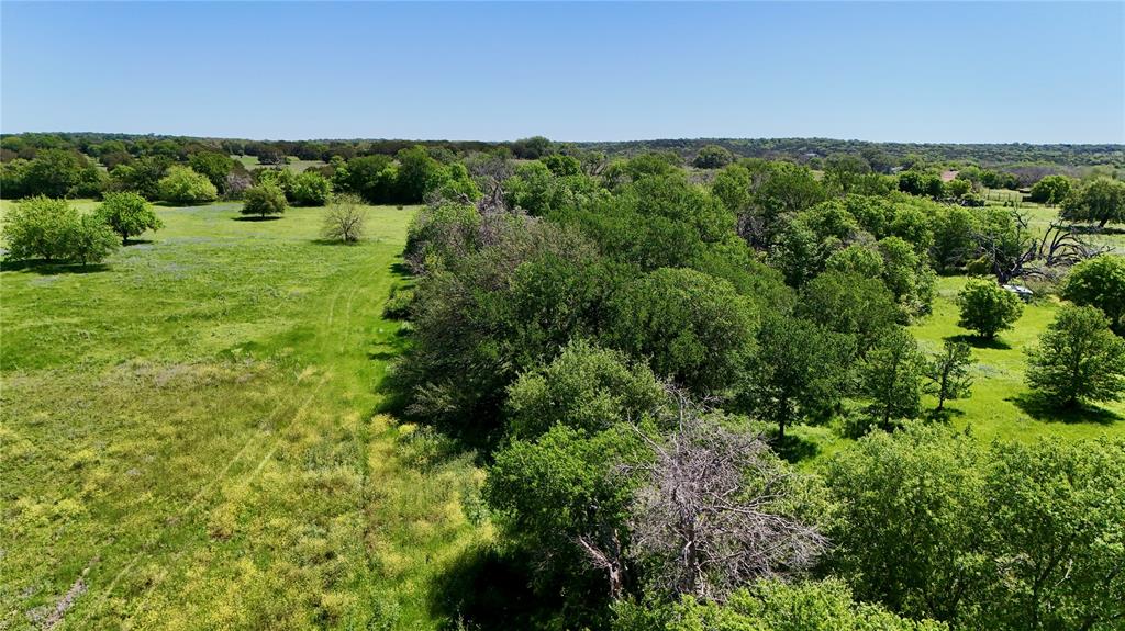 Anson Darniel Surv Abs # 222 - Land