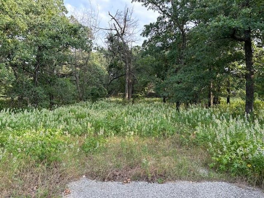 Great development opportunity on busy thoroughfare through Azle. 3.76 acre tract that adjoins another 3.78 acre commercial tract for a combined total of 7.54 acres that is available for development. City water and sewer available. Co-op electric. This tract is currently zoned residential but adjoining tract was recently rezoned commercial so city is expecting this tract to be rezoned to commercial as well. Property has a concrete drive easement through RaceTrac. The adjoining tract also has an easement on the south side of that property.  Fast growing area!