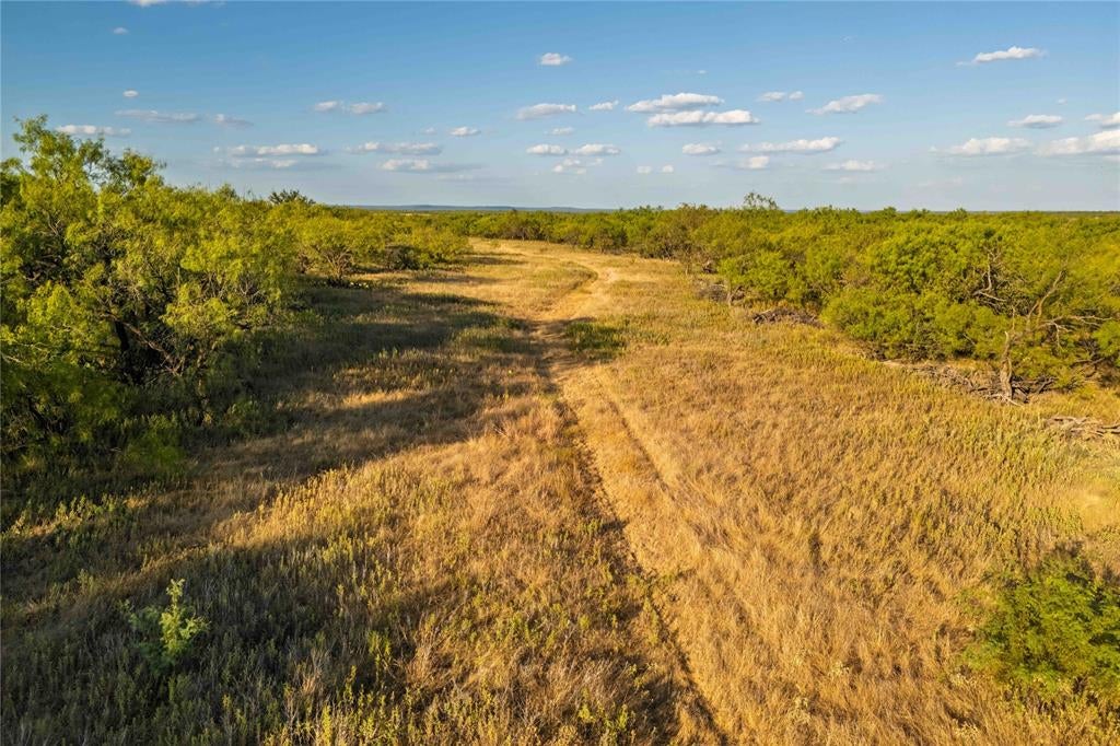 TBD County Road 277