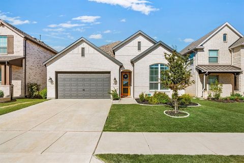 1149 Superbloom Avenue Justin TX 76247
