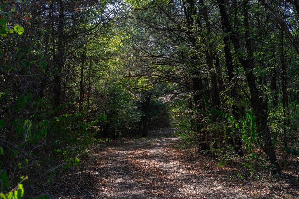 5 Acres +- S Faye Lane