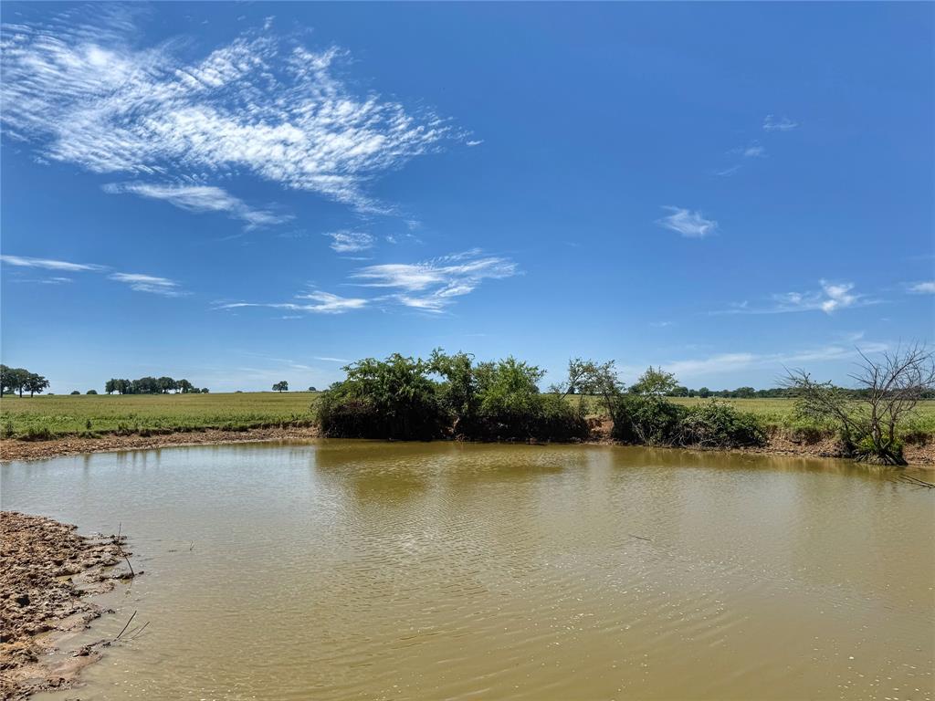 3991 Lone Star Road