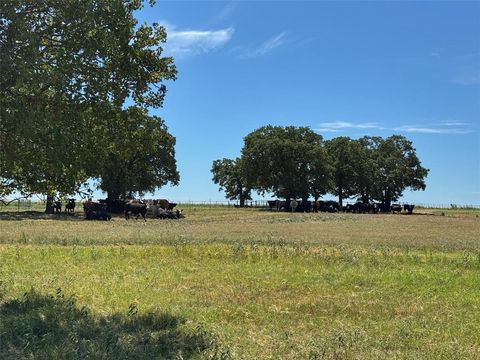 3991 Lone Star Road Poolville TX 76487